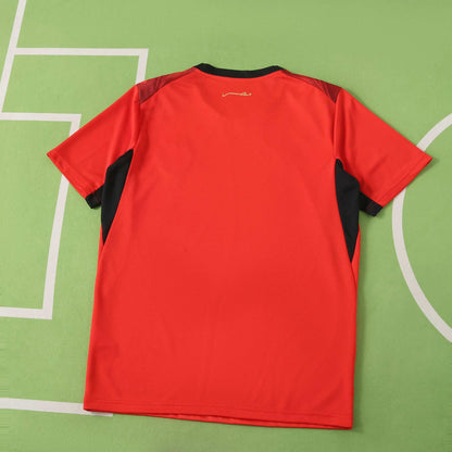Egypt 🇪🇬 2026 World Cup Home Jersey.