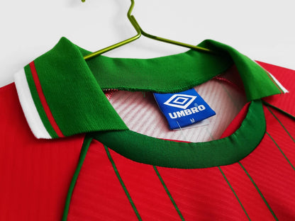 Wales 🏴󠁧󠁢󠁷󠁬󠁳󠁿 1994/96 Home Jersey. - World Cup Retro Soccer Shop