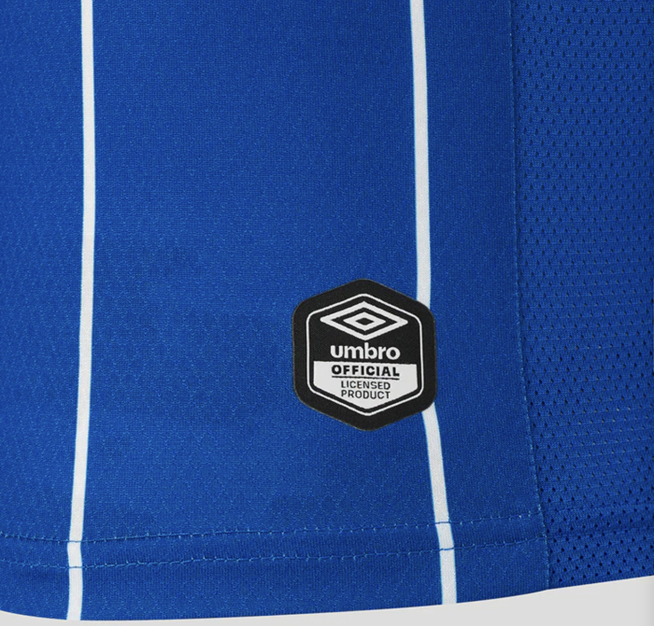 Glasgow Rangers 26/27 Home Kit.