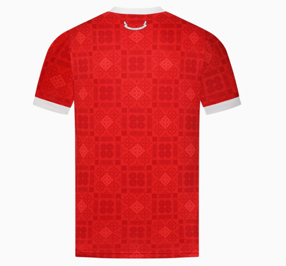 Wales 🏴󠁧󠁢󠁷󠁬󠁳󠁿 NEW !! 26/27 Home Jersey.