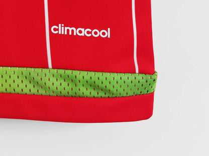 Wales 🏴󠁧󠁢󠁷󠁬󠁳󠁿 2015/16 Home Jersey. - World Cup Retro Soccer Shop