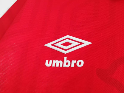 Wales 🏴󠁧󠁢󠁷󠁬󠁳󠁿 1993/94 Home Jersey.