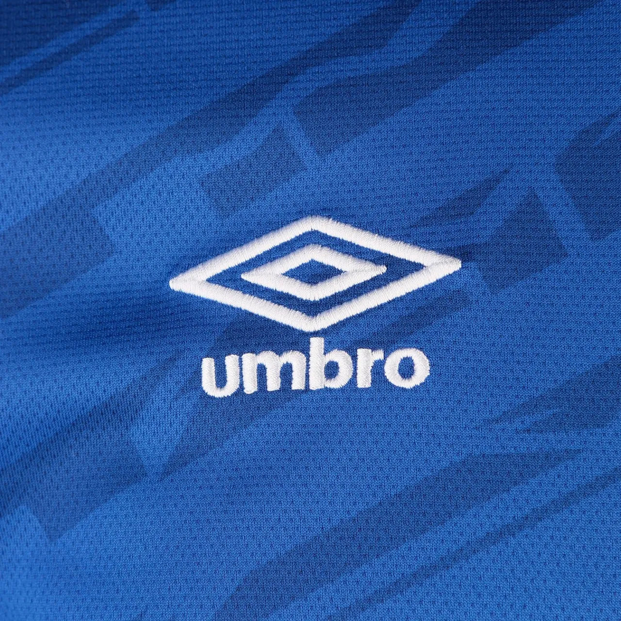 Ipswich Town FC 25/26 Home Jersey.