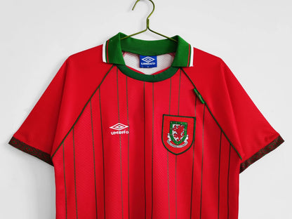 Wales 🏴󠁧󠁢󠁷󠁬󠁳󠁿 1994/96 Home Jersey. - World Cup Retro Soccer Shop