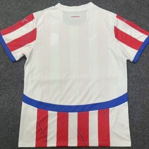 Paraguay 🇵🇾 2023 Home Jersey. - World Cup Retro Soccer Shop