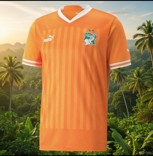 Ivory Coast 🇨🇮 2022 World Cup Home Jersey. - World Cup Retro Soccer Shop