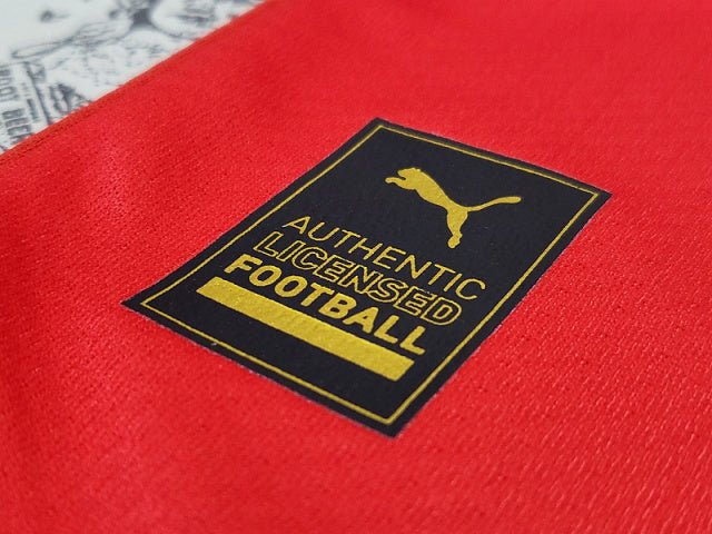 Switzerland 🇨🇭 2022 World Cup Home Jersey. - World Cup Retro Soccer Shop
