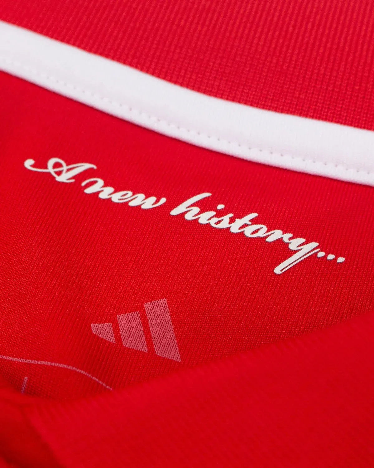 Nottingham Forest FC 25/26 Home Jersey.