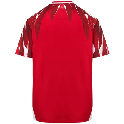 Tunisia 🇹🇳 2026 World Cup Away Jersey.