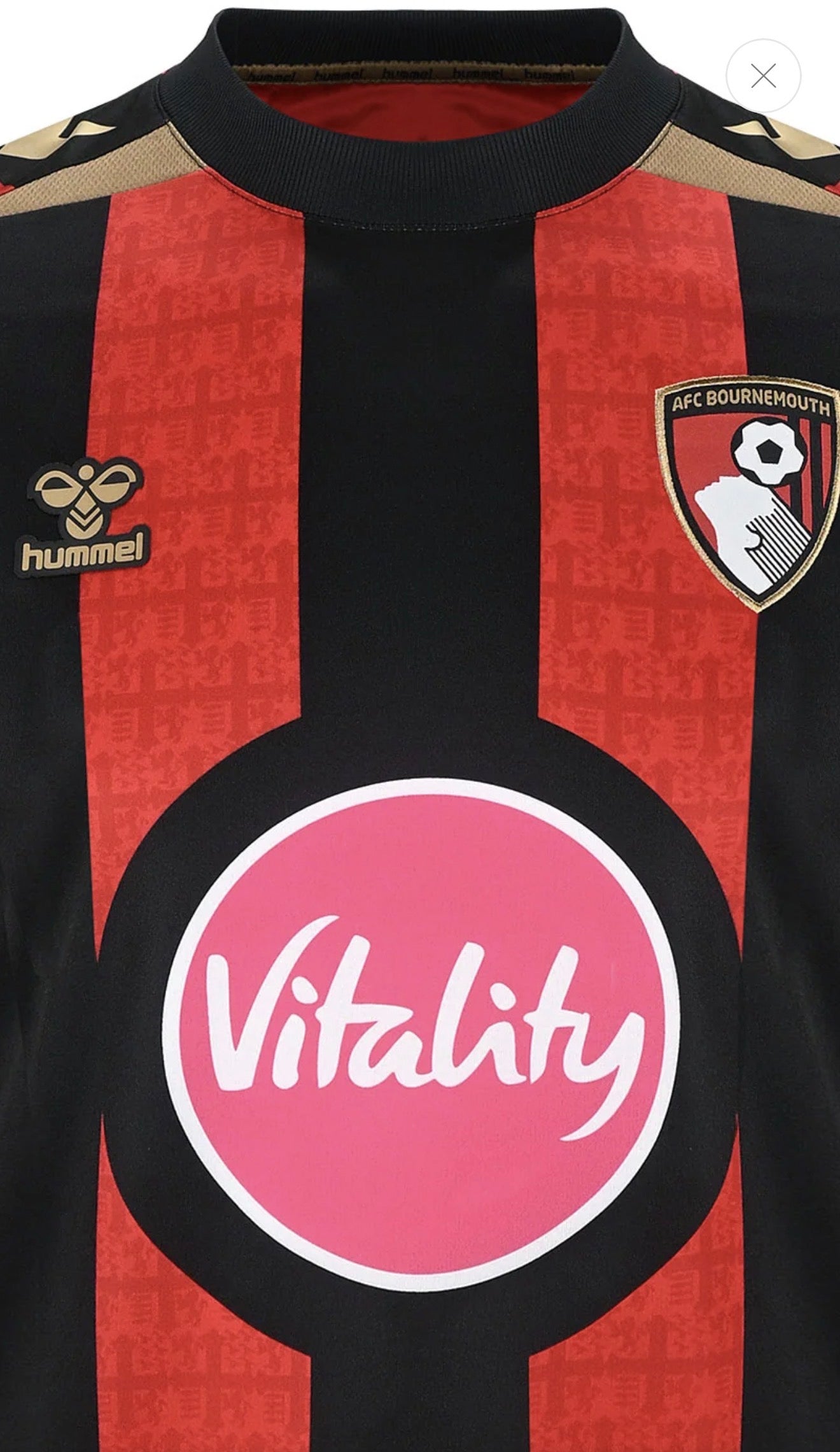 Bournemouth AFC 26/27 Home Jersey.